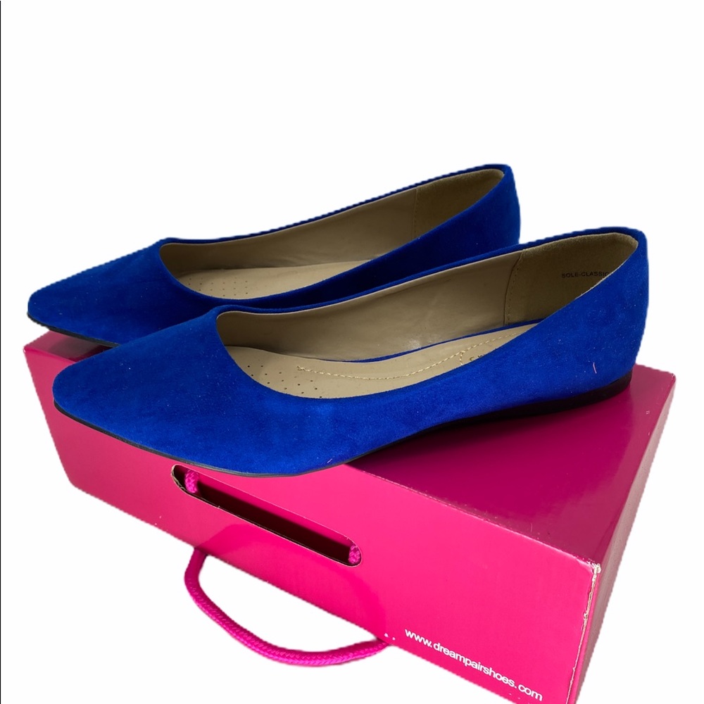 NWT Royal Blue Dream Paris Flats